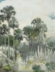 Florida Jungle
